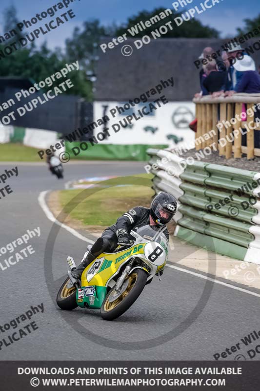 Vintage motorcycle club;eventdigitalimages;mallory park;mallory park trackday photographs;no limits trackdays;peter wileman photography;trackday digital images;trackday photos;vmcc festival 1000 bikes photographs